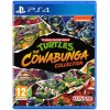 Teenage Mutant Ninja Turtles Cowabunga Collection (PS4)